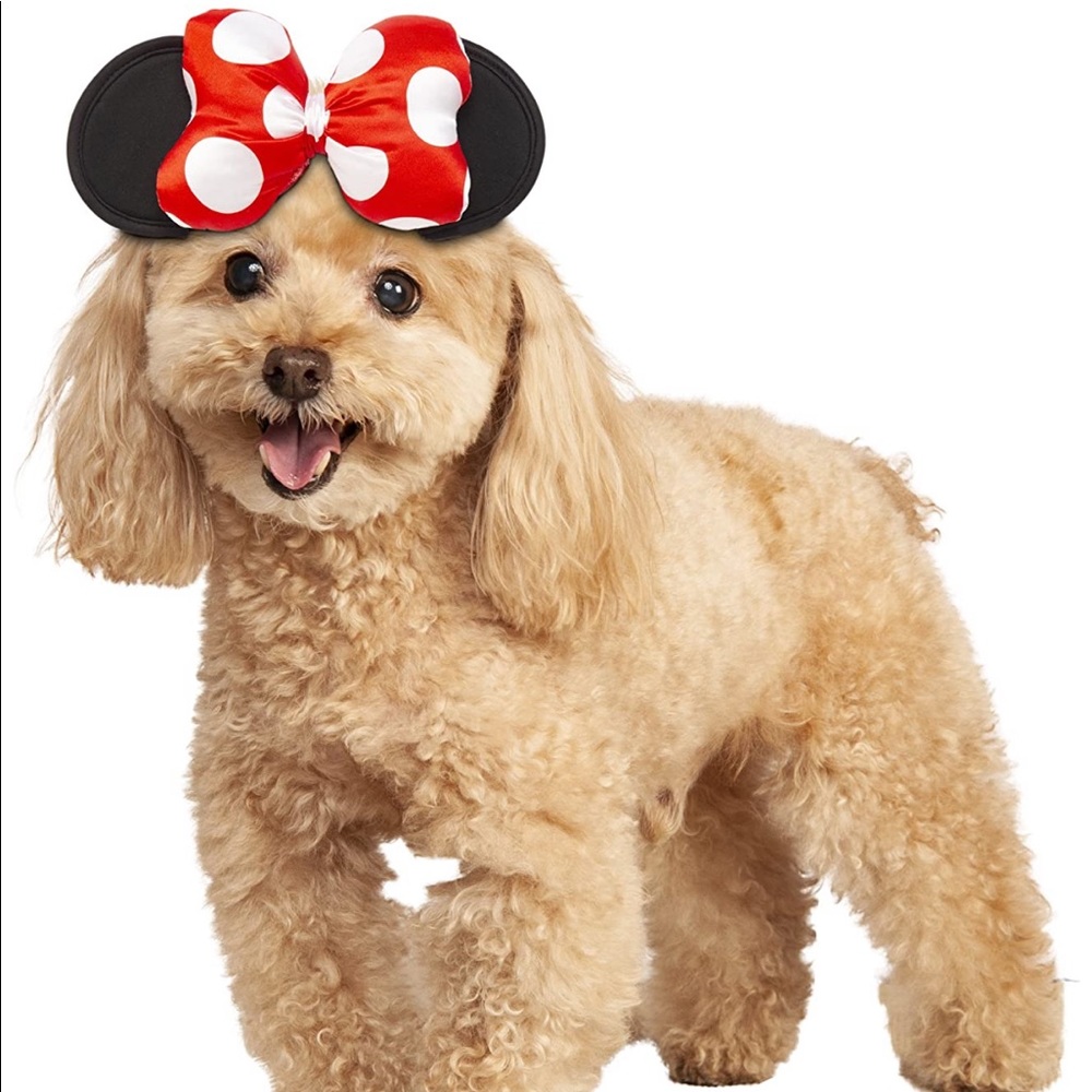 🥳HP🥳 NWT❗️Disney Mickey & Friends Pet Costume
